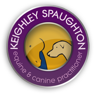 Keighley Spaughton Equine & Canine McTimoney Animal Therapist